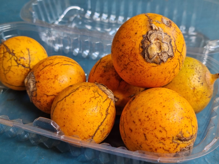 Tucumã é aliado na prevenção da disfunção erétil; conheça mais benefícios