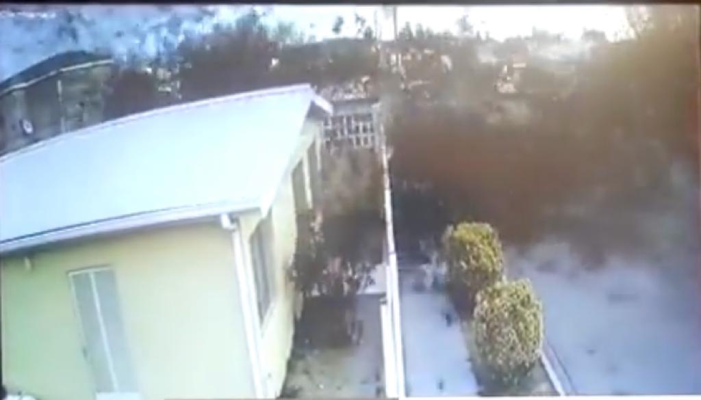 Vídeo chocante mostra centenas de pássaros caindo mortos sobre casas no México; assista