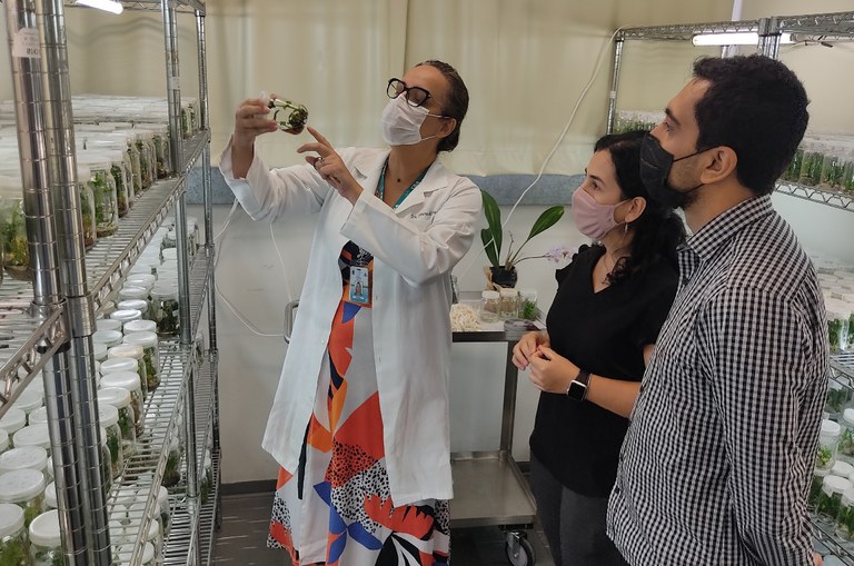 Parceria entre o CBA e IPT fortalece estímulo à pesquisas na área de biotecnologia