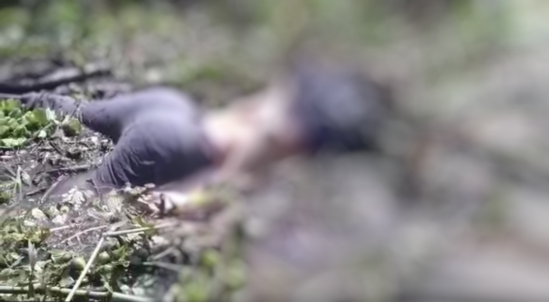 Com cabeça devorada por peixes, homem é achado boiando em rio no Amazonas