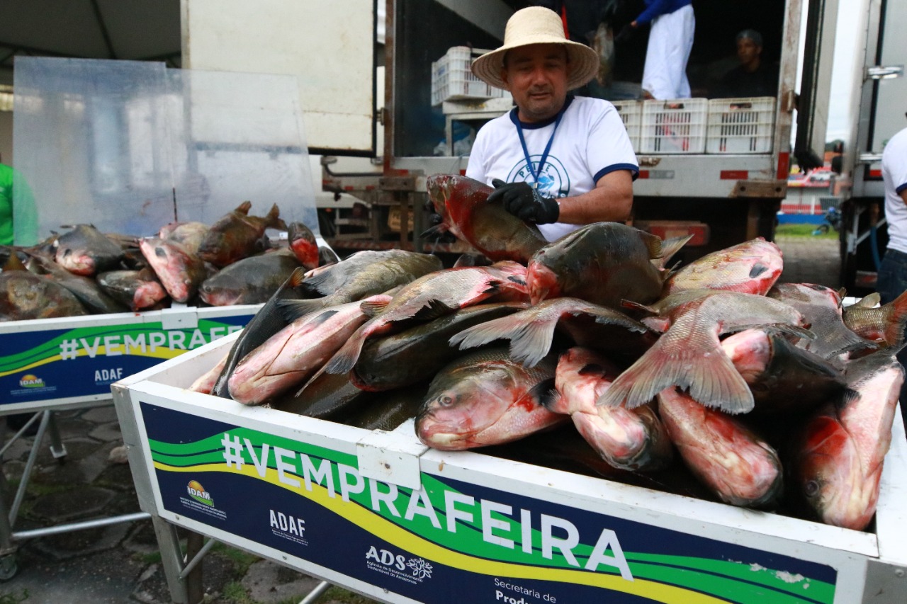 Feirão do Pescado com peixes a partir de R$ 8,90 termina nesta sexta-feira em Manaus