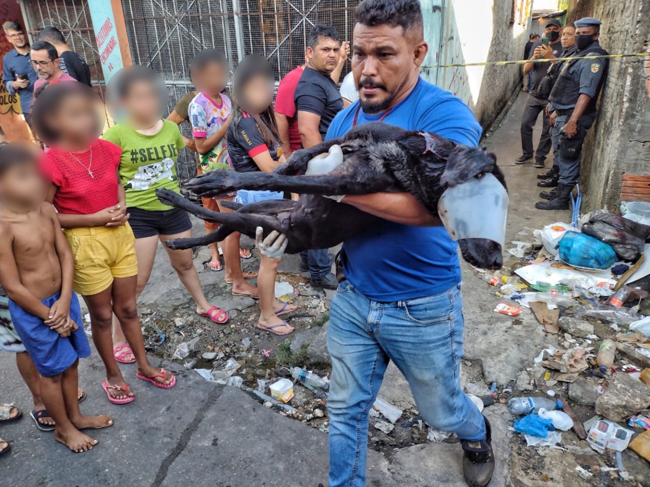 Cachorro morre após ser baleado durante ataque criminoso em beco de Manaus