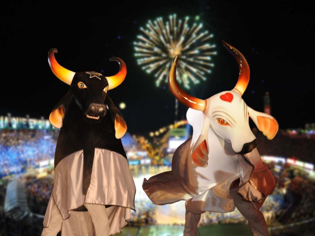 Pessoas com deficiência e acompanhantes terão acesso gratuito ao Festival de Parintins