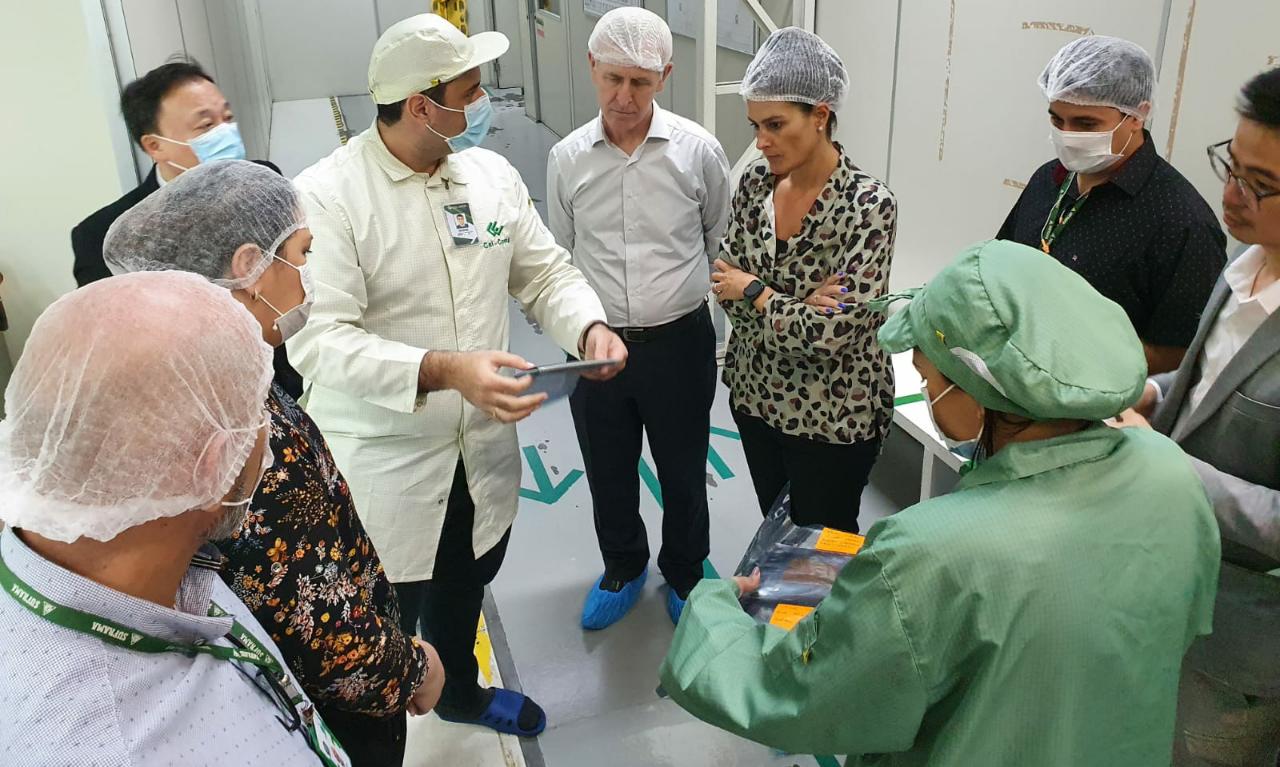 Ministério da Economia promete ajudar Zona Franca com produção de semicondutores