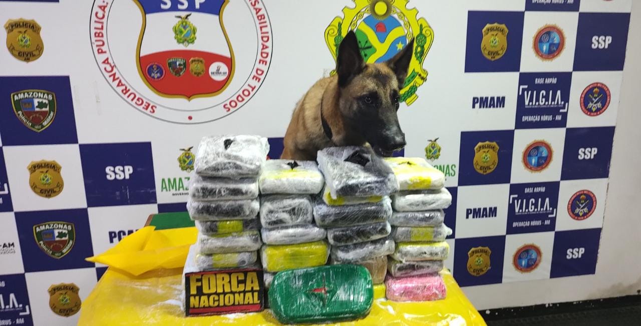 Mais de R$ 300 mil em drogas escondidas em pacotes de sabão em pó são apreendidas no Amazonas