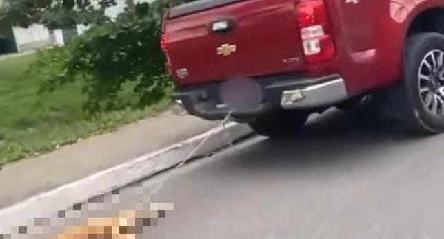 Carro arrasta cachorro amarrado pelas patas em Manaus; motorista foi localizado