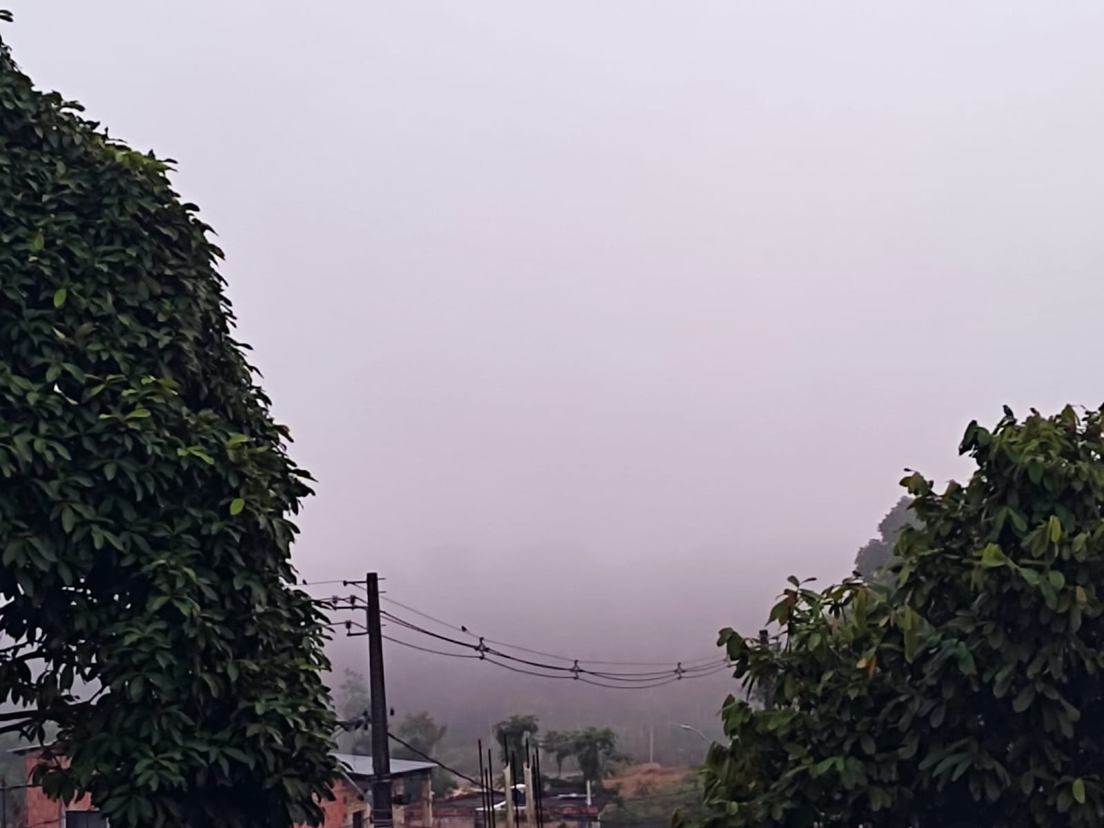 Névoa e frio tomam conta de Manaus e previsão para hoje é de chuva 