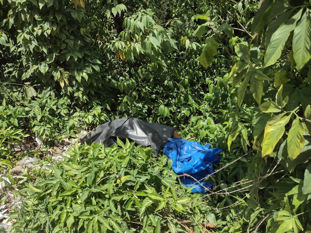 Homem sai para apanhar açaí e encontra corpo às margens de avenida em Manaus