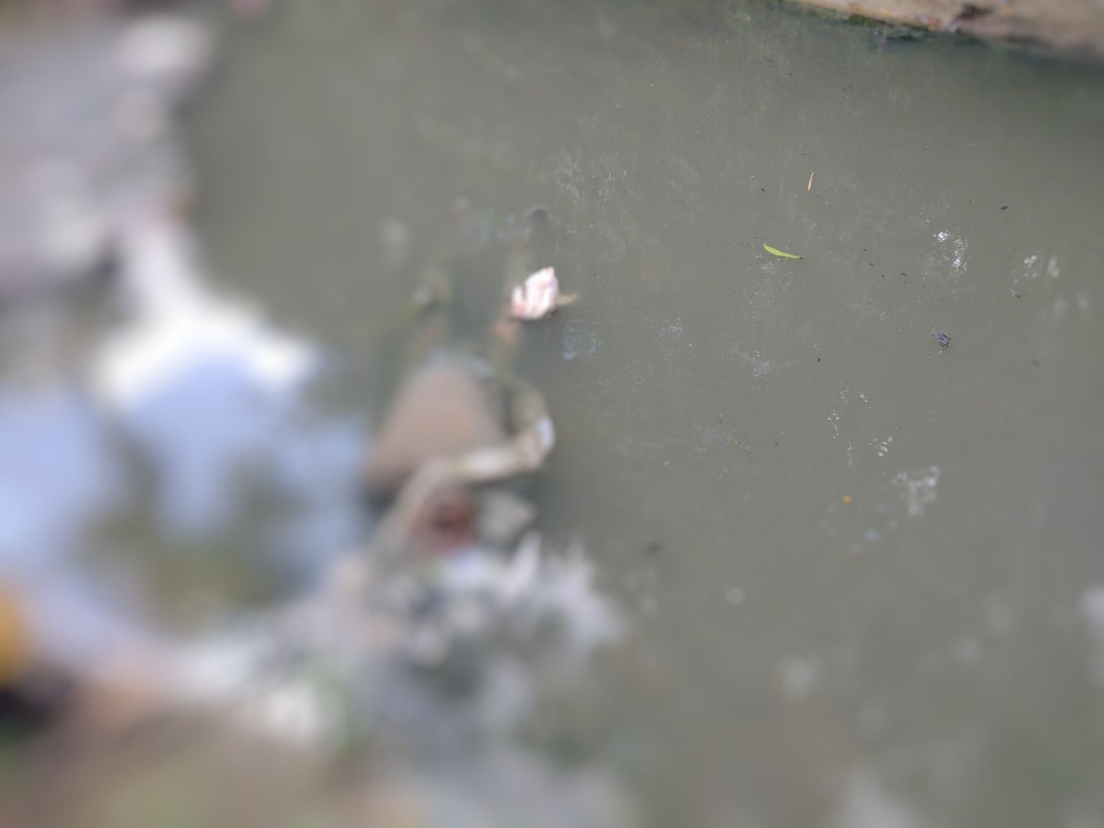 Corpo é encontrado boiando em igarapé na Reserva Ducke em Manaus