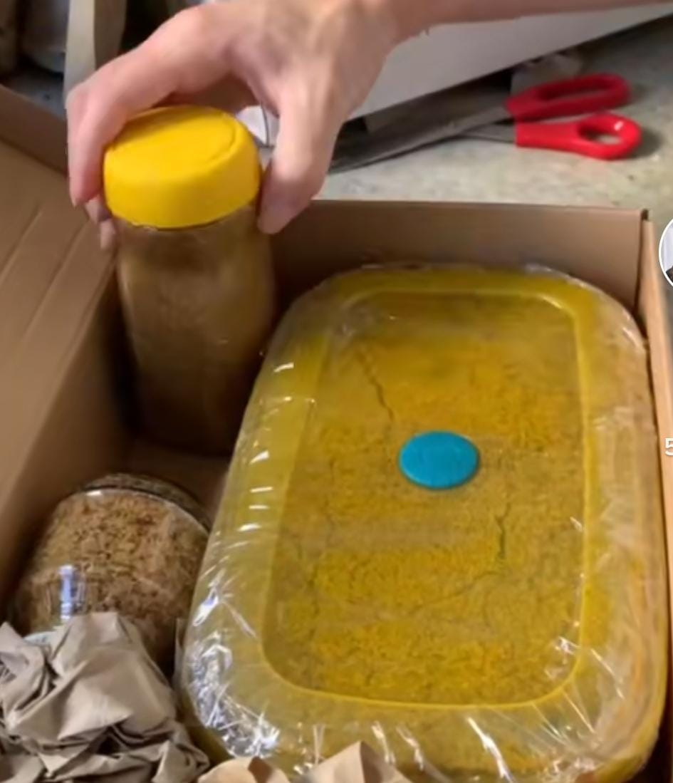 Filho do cartunista Maurício de Souza compra placa de vídeo por R$ 14 mil e recebe areia