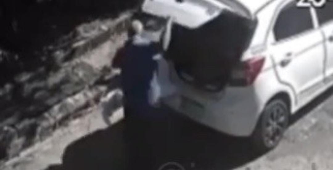 Homem joga cachorro vivo dentro de saco amarrado em rua de Manaus; vídeo