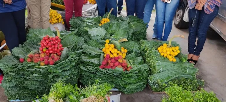 MPF exige aquisição de alimentos da agricultura familiar para escolas indígenas no Amazonas