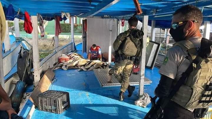 Dono de barco é multado em R$ 480 mil ao ser pego com toneladas de pirarucu ilegal no Amazonas