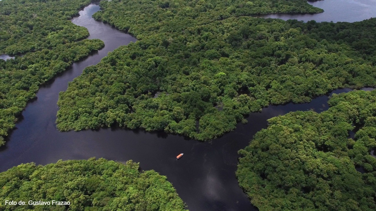 Celebração à Floresta Amazônica, nosso maior patrimônio
