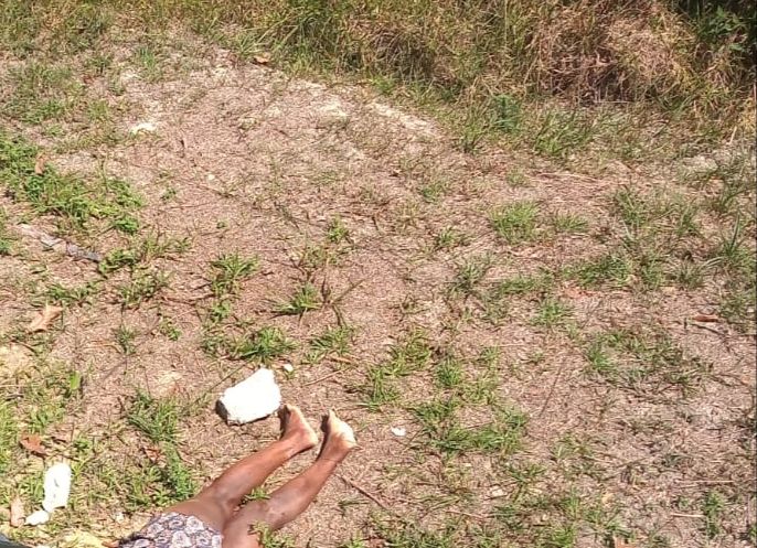 Mulher é morta a marteladas e corpo é encontrado em terreno na AM-010