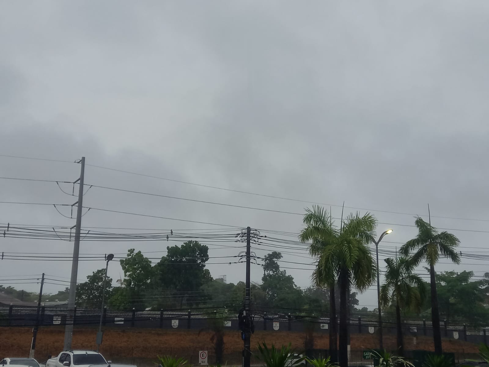 Árvore tomba em telhado e igarapé transborda e água invade casa durante temporal em Manaus