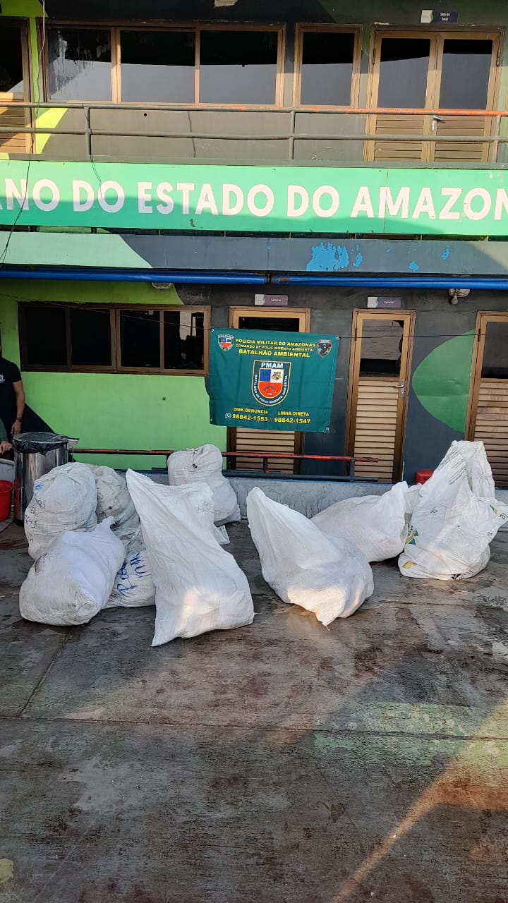 Carga de pirarucu ilegal avaliada em R$ 97 mil é apreendida no Amazonas