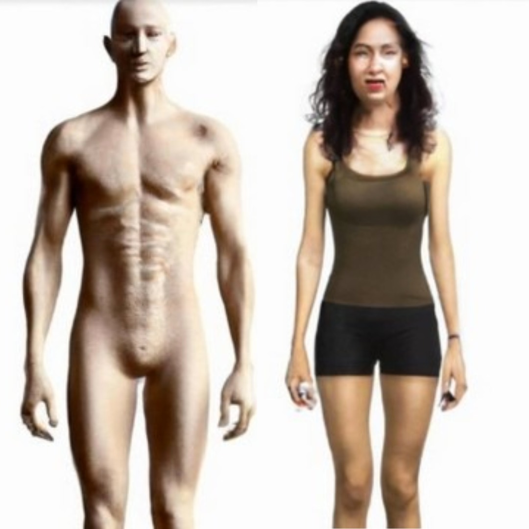 Humanos não terão genitália no futuro, prevê software com inteligência artificial