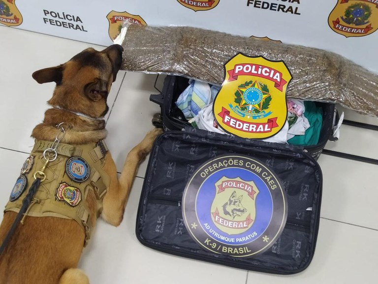Mulher é presa no aeroporto de Fortaleza com mala recheada de drogas vindas de Manaus