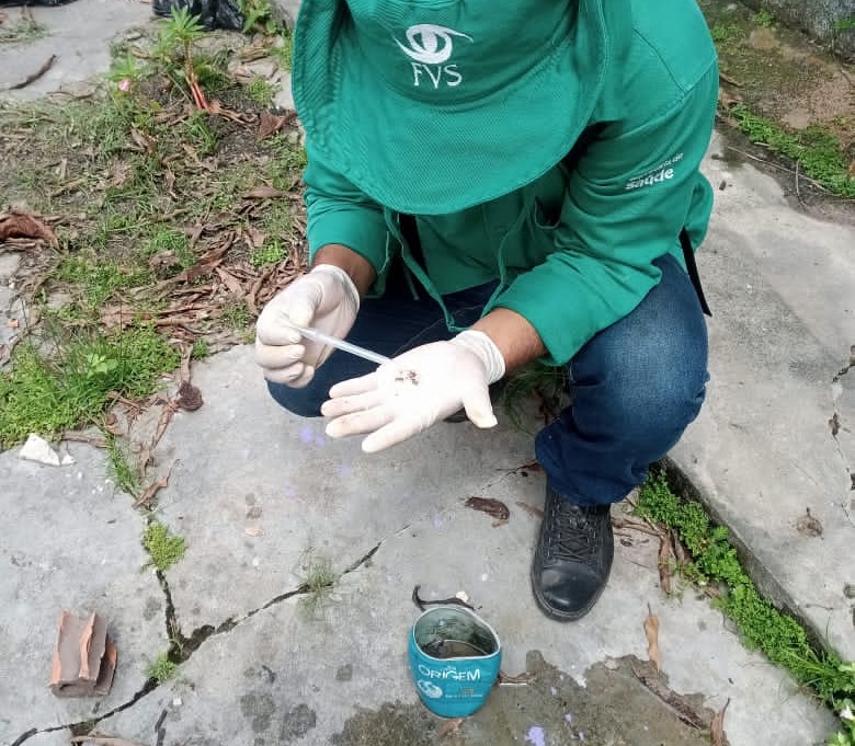 Amazonas registra 3 mortes por dengue nos últimos meses