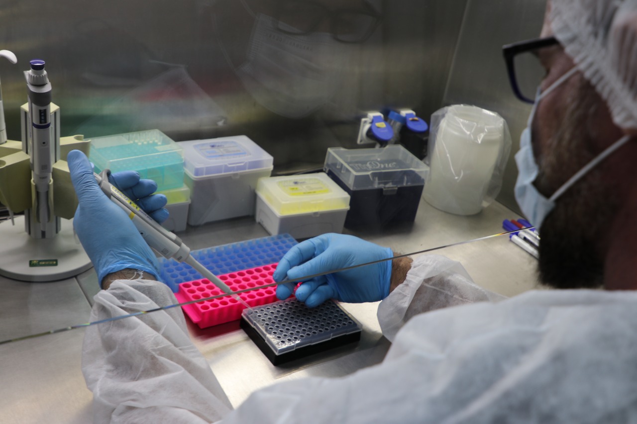 Sobe para 348 o número de infectados pela varíola dos macacos no Amazonas