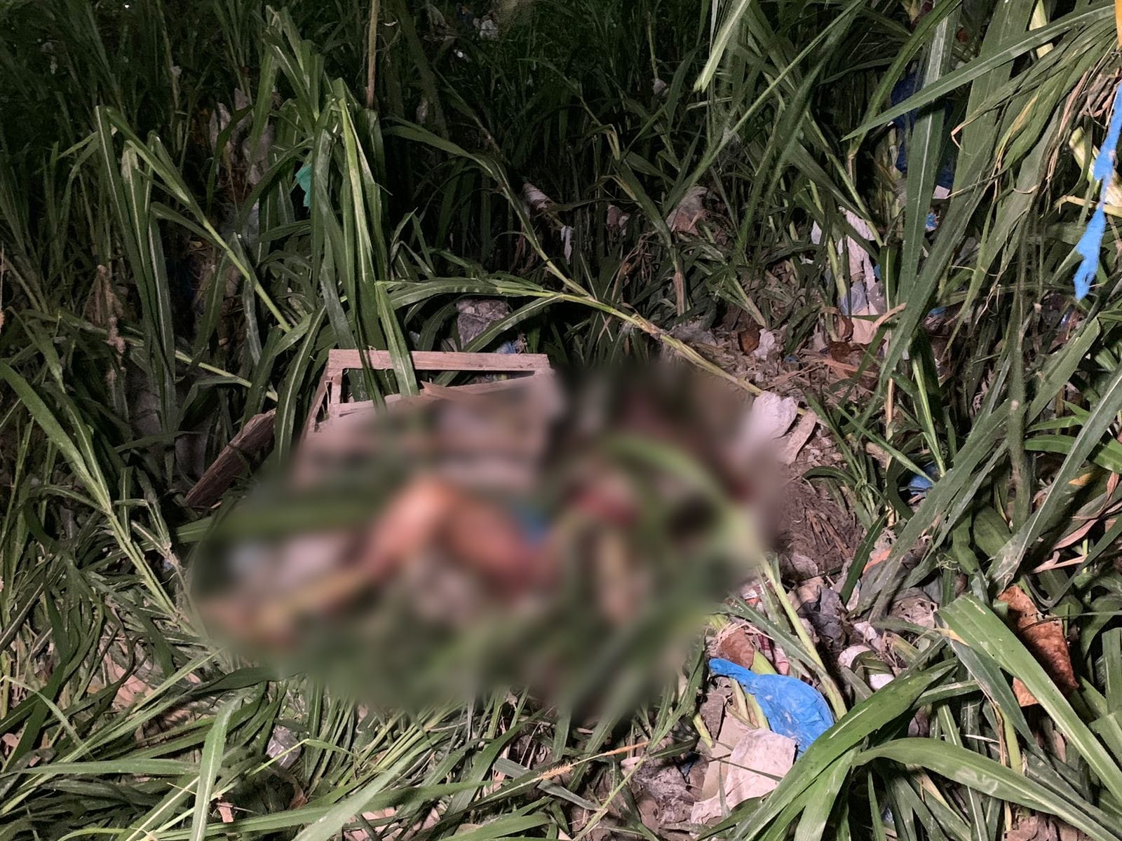 Corpo é encontrado apodrecendo às margens de igarapé em Manaus 