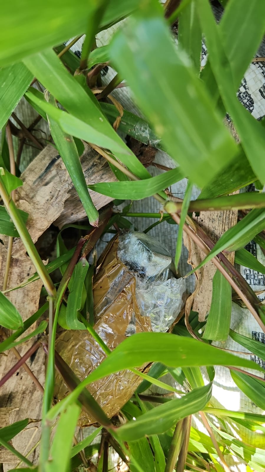 Homem arremessa granada para dentro de casa para escapar da polícia em Manaus