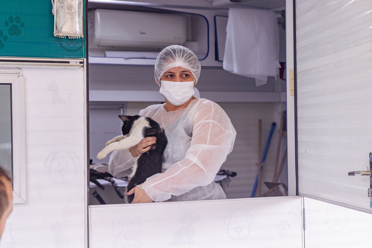 Calendário de agendamento para castração de cães e gatos é divulgado em Manaus