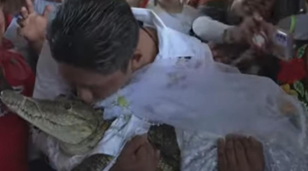 Prefeito se casa com crocodilo em cerimônia por prosperidade