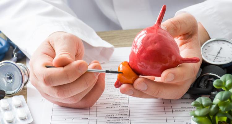 Dificuldade para urinar pode ser ocasionada pelo aumento da próstata, alerta urologista