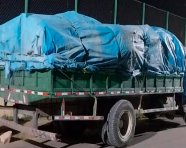 Dupla é presa ao transportar carvão ilegal no Amazonas