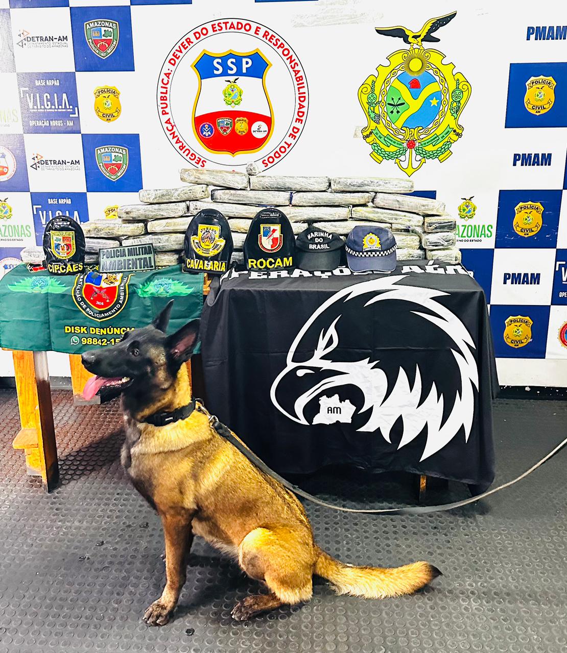 Drogas avaliadas em R$800 mil são apreendidas em saco escondido em banheiro de barco no Amazonas