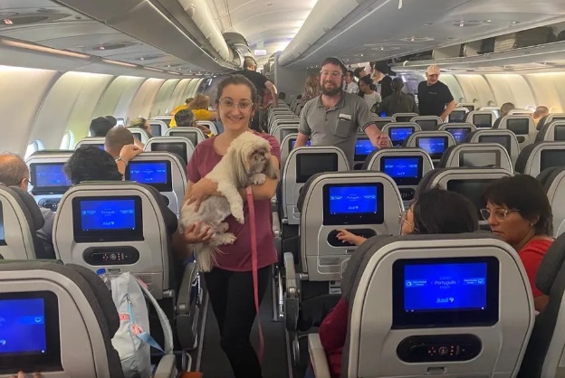 Segundo voo com pets e brasileiros que estavam em Israel chega ao RJ