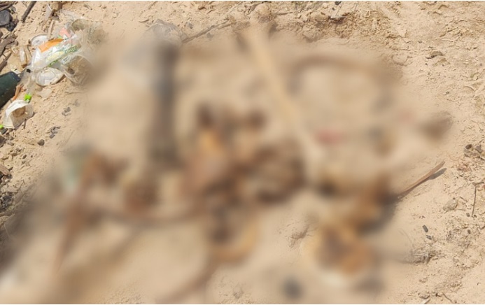 Ossada humana é encontrada na Manaus Moderna