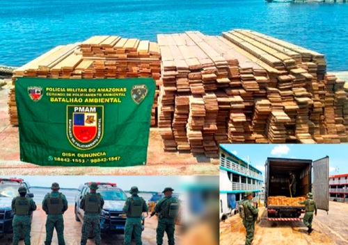 Madeira ilegal avaliada em R$ 50 mil é apreendida no porto de Manaus