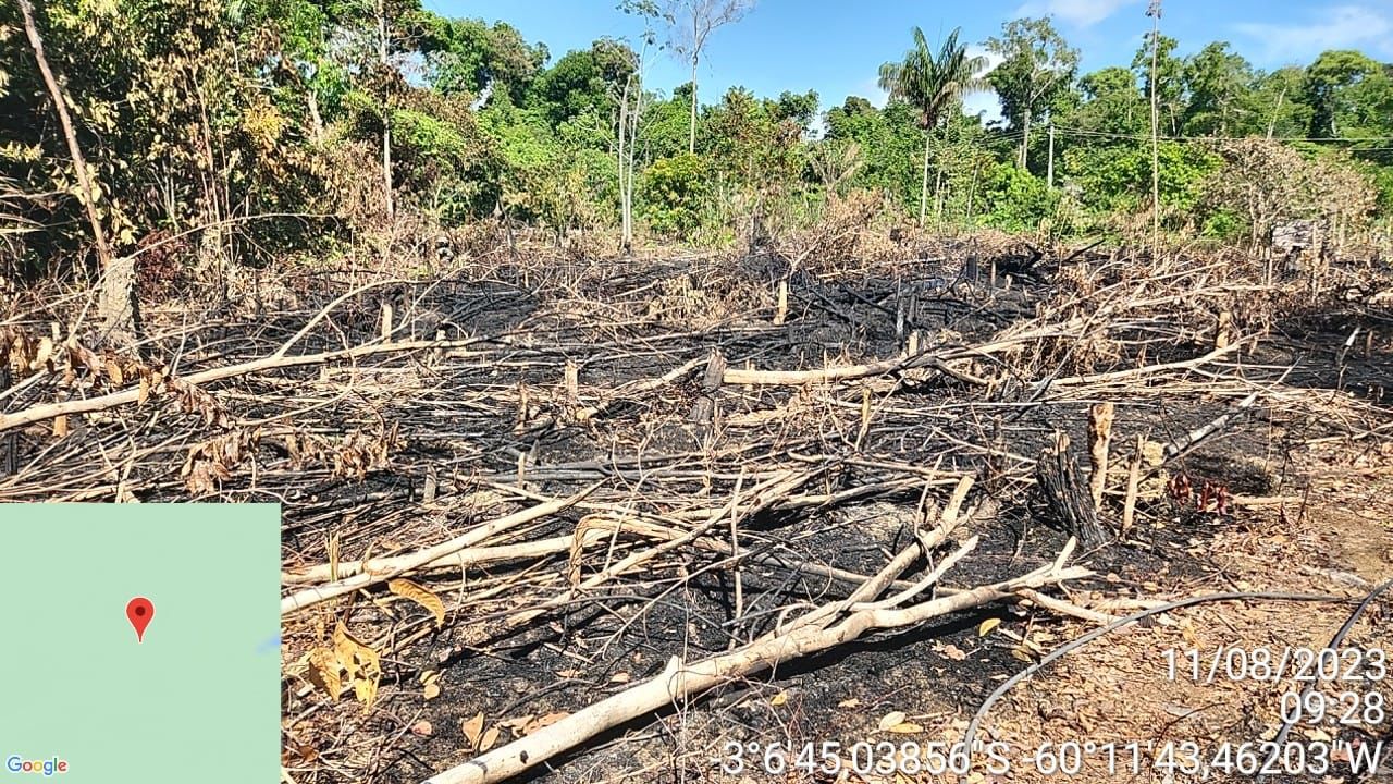 Dema faz operações para combater desmatamentos e maus tratos de animais silvestres no Amazonas