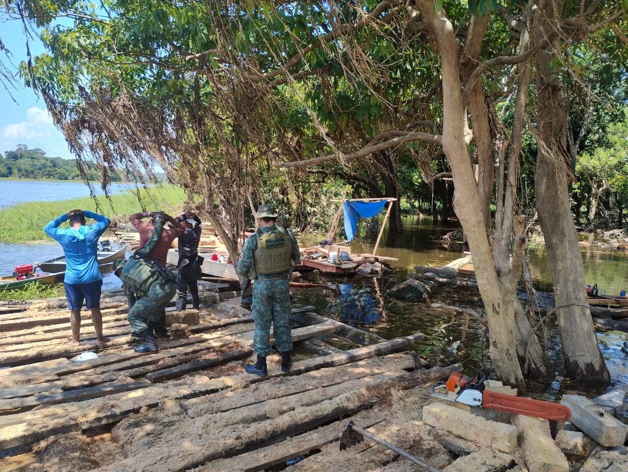 Homem é flagrado cortando árvores com motosserra e acaba preso no Amazonas