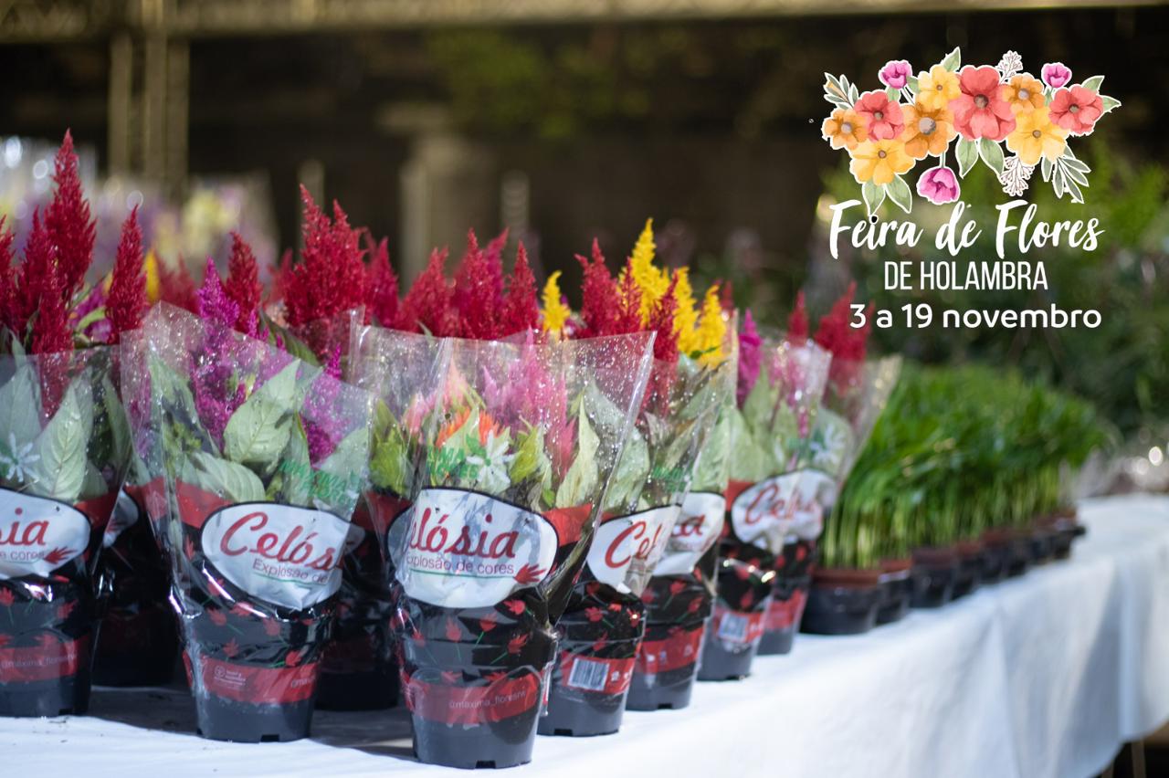 Feira de Flores de Holambra começa na próxima sexta-feira em Manaus