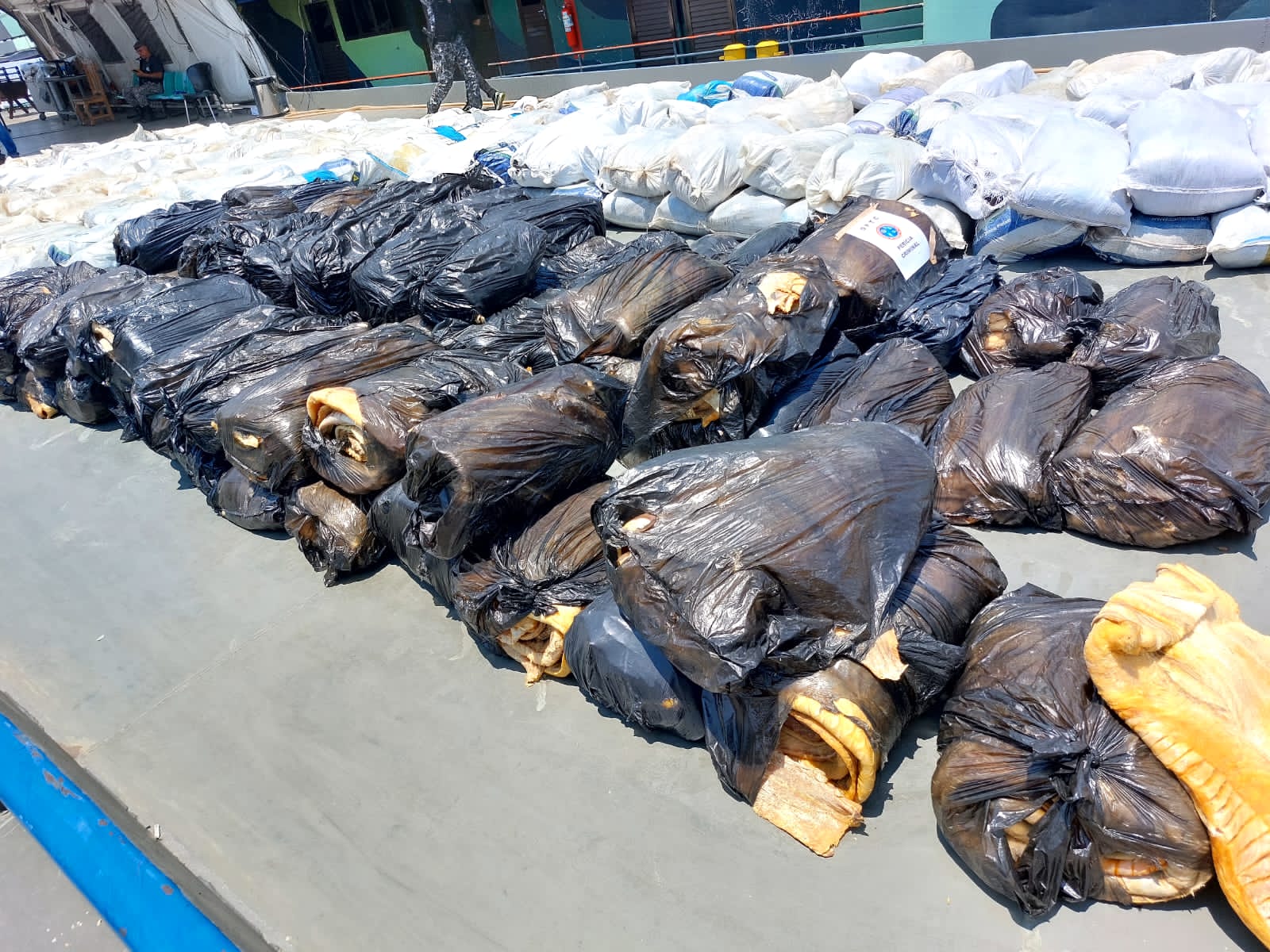 Polícia apreende 16 toneladas de pirarucu ilegal em barco pesqueiro no Amazonas