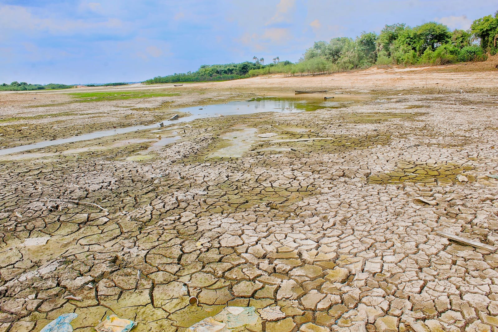 Governo Federal vai mapear situação da fauna durante seca dos rios no Amazonas
