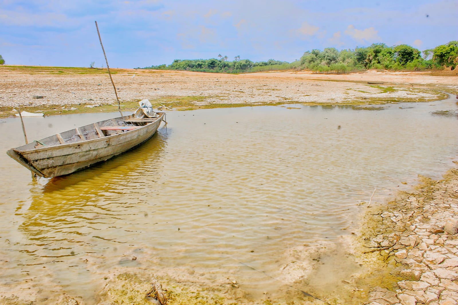 Com cenário mais crítico que do ano passado, seca no Amazonas em 2024 pode ser pior