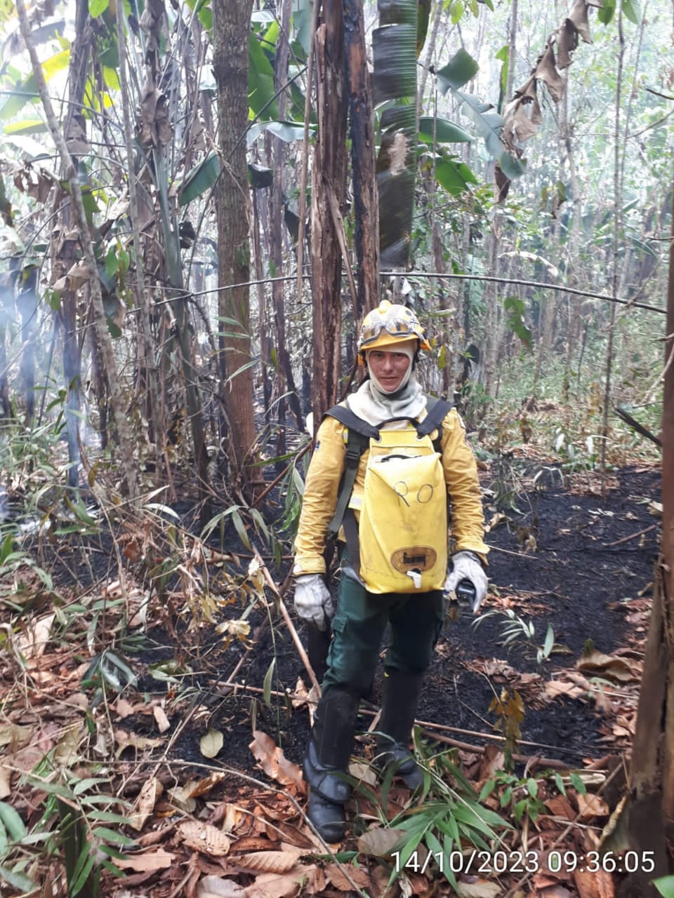 Ibama apresenta balanço de combate a incêndio florestal no Amazonas