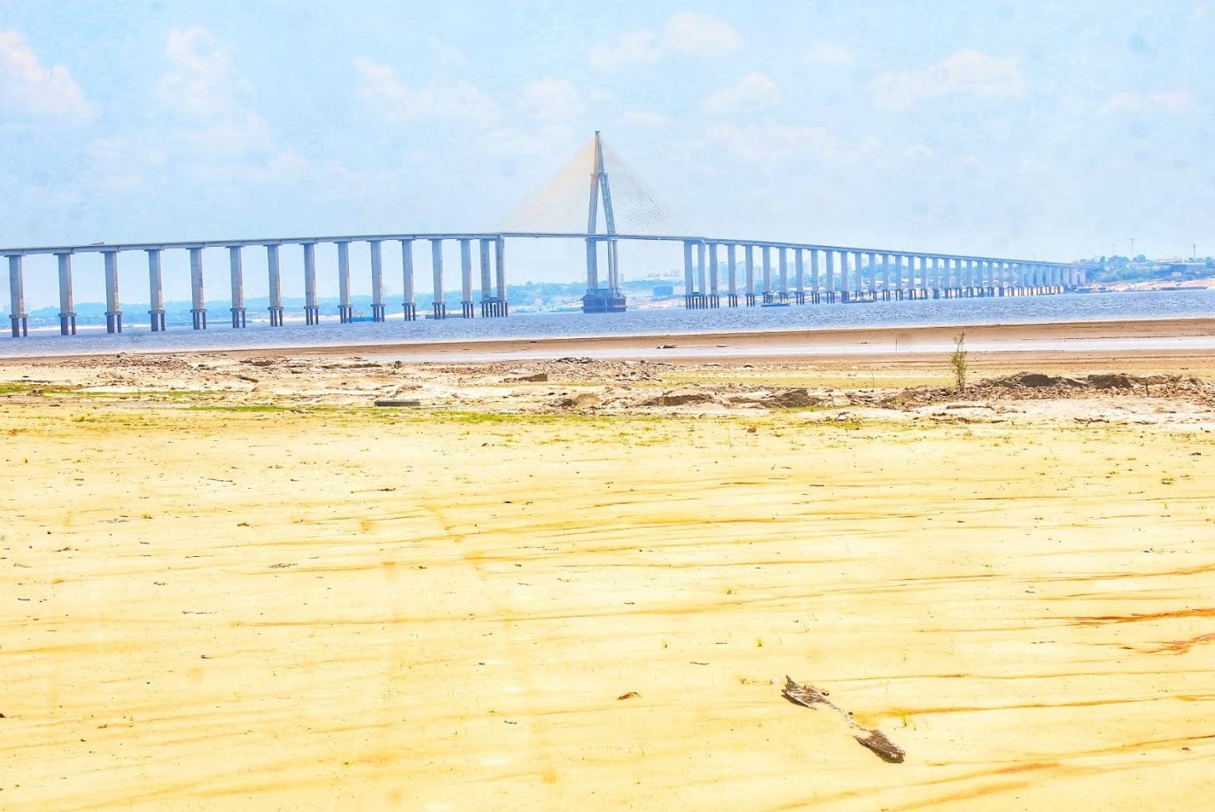 Rio Negro volta a subir após quatro meses em Manaus