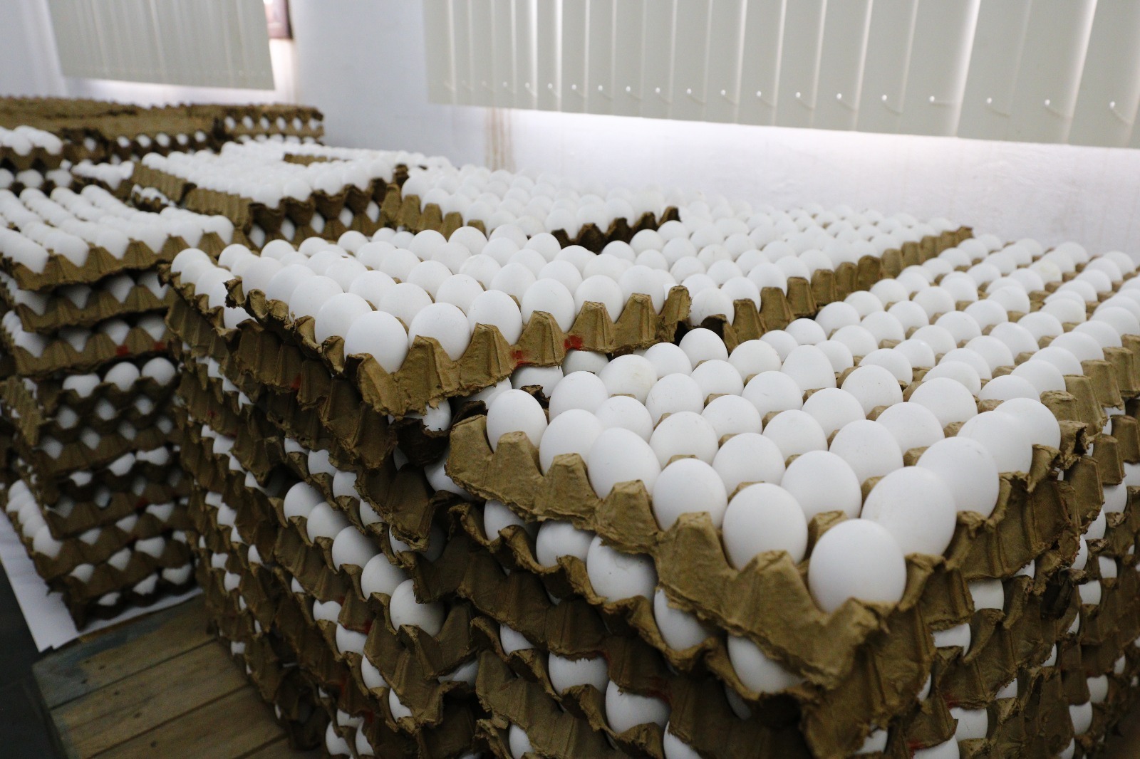 Mais de 60 mil ovos apreendidos em fiscalização são doados a entidades de Manaus