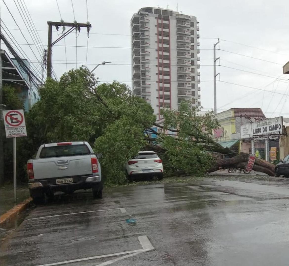 Desabamento e mais: Manaus registra 16 ocorrências durante chuva nesta segunda