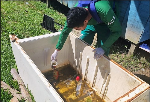 Amazonas apresenta médio risco para circulação de Aedes aegypti, aponta levantamento
