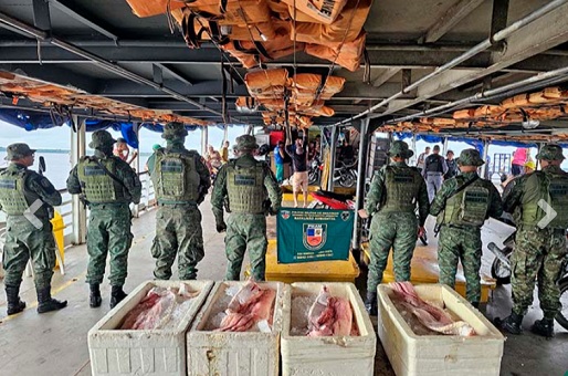 Pescado avaliado em quase R$ 10 mil é apreendido no Porto de Manaus