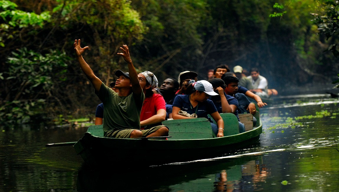 Turismo Brasileiro no segundo semestre: Um Boom Nacional, um Sopro na Amazônia?