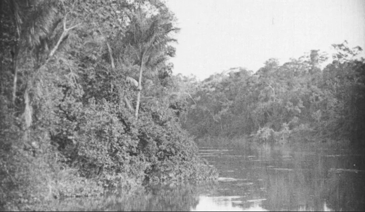 ‘Amazonas, O Maior Rio do Mundo’ será exibido todas às quartas no Cine Casarão
