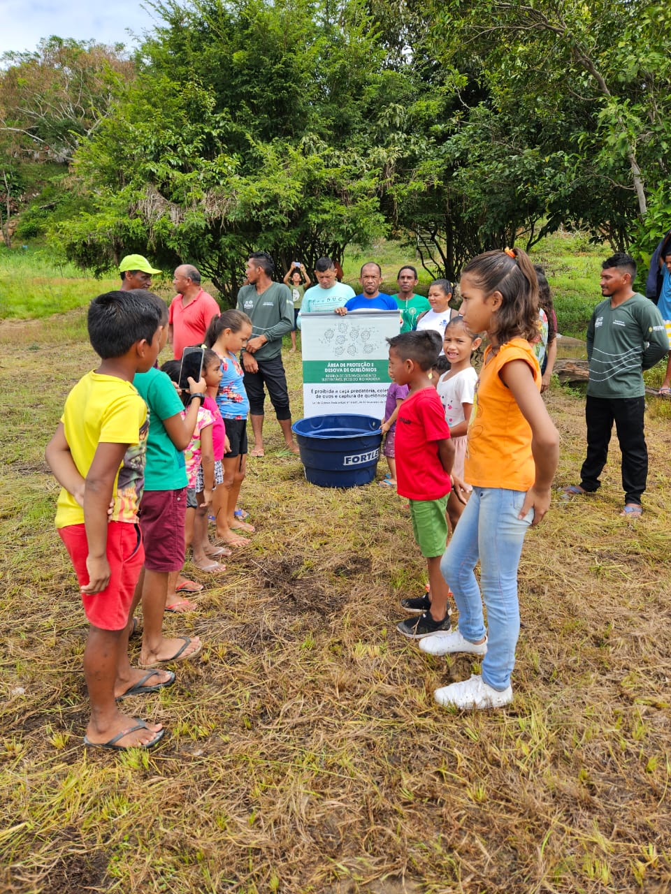 Mais de 800 filhotes de quelônios são devolvidos à natureza na RDS Rio Madeira
